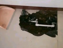 桐庐卫生间测漏水多少钱